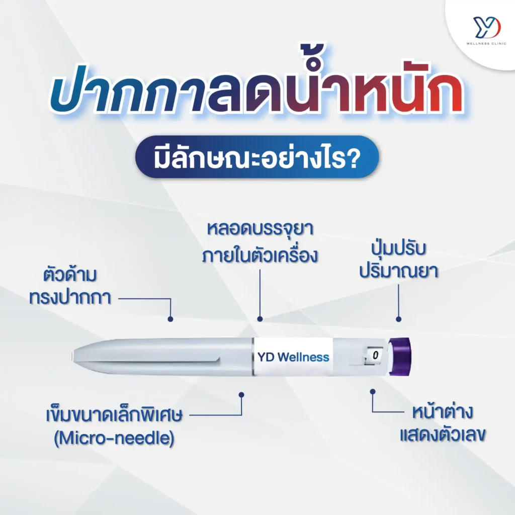 ปากกาลดน้ำหนักมีลักษณะอย่างไร