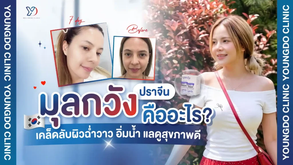 มุลกวัง ปราจีน คืออะไร? เคล็ดลับผิวฉ่ำวาว อิ่มน้ำ แลดูสุขภาพดี